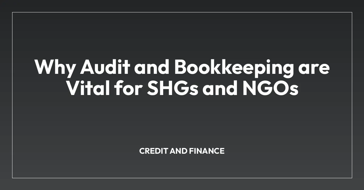 Why Audit and Bookkeeping are Vital for SHGs and NGOs