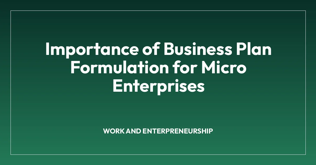 Importance of Business Plan Formulation for Micro Enterprises