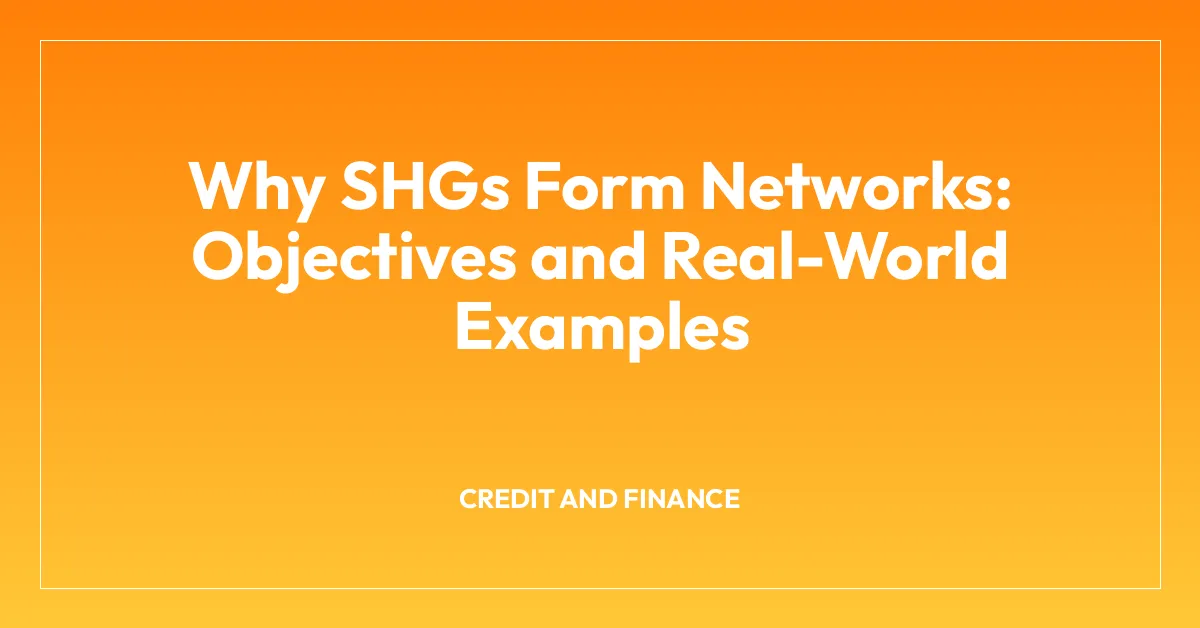 Why SHGs Form Networks: Objectives and Real-World Examples